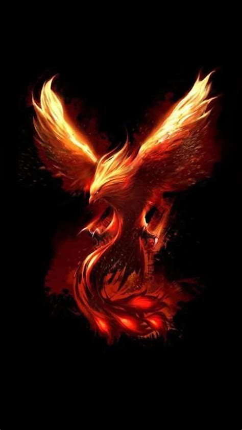 Fire Phoenix Blue Phoenix Hd Phone Wallpaper Pxfuel