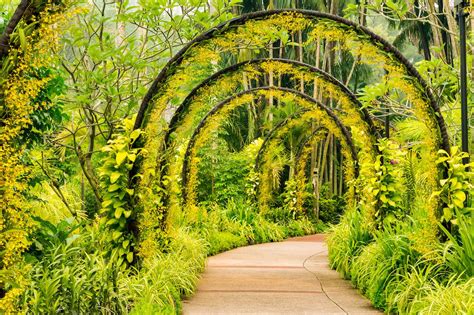 Best Orchid Gardens In The World To Visit