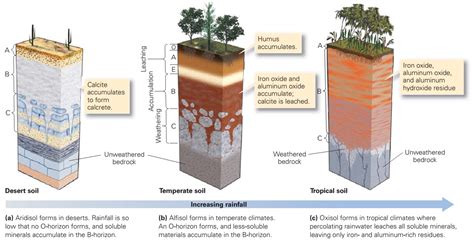 Learning Geology Soil
