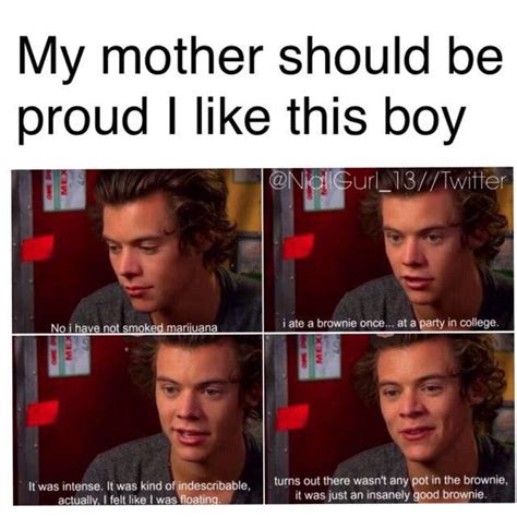 Zayn Malik S Little Sister Authors Note One Direction Humor Harry Styles Memes One