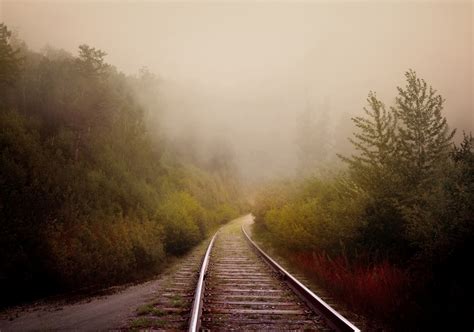 Forest Fog Road Free Stock Photo Public Domain Pictures