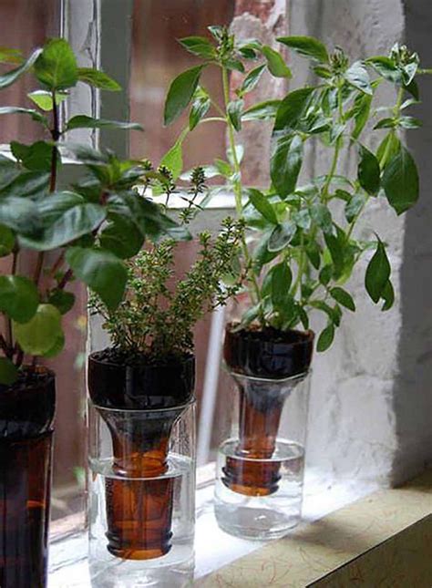 14 Best Diy Self Watering Container Garden Ideas Balcony Garden Web