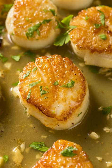 Sweet Meaty Sea Scallops Are Best In Winter And Like Many Other Hot