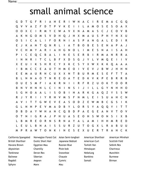 Small Animal Science Word Search Wordmint