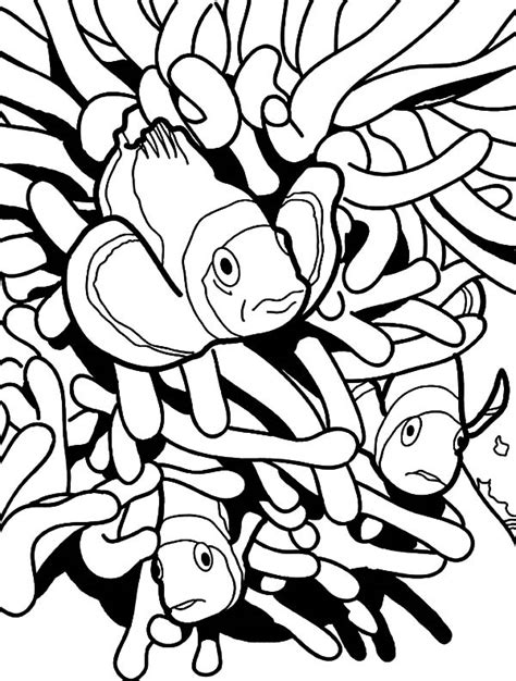 Clown fish, fish from warmer waters. Clown Fish Coloring Pages | Best Place to Color
