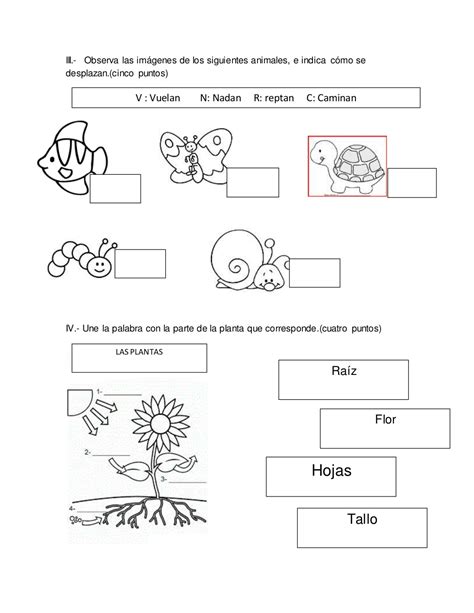 Evaluación Semestral De Ciencias Naturales