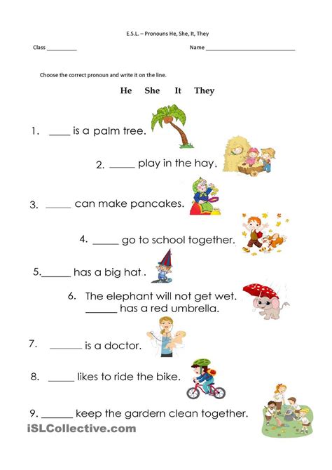 Sentences With They For Kindergarten