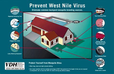 West Nile Virus Official Website Of Arlington County Virginia Government