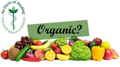 Why Is Organic Food Expensive Compared To Conventionally Grown