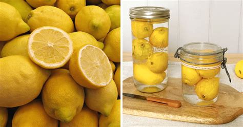 Storing Citrus So It Lasts How To Keep Lemons Fresh Longer