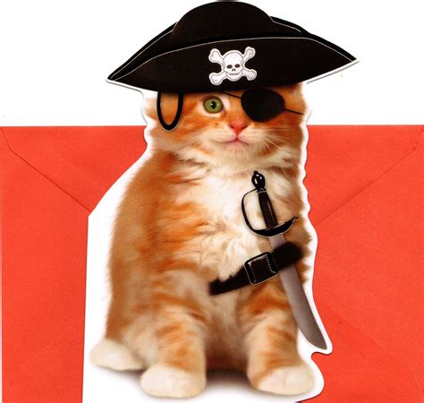 Happy Halloween Kitten Cat Argh Pirate Eye Patch Yo Ho Greeting Card Ebay