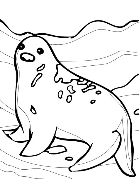 Seal Coloring Pages Download And Print For Free