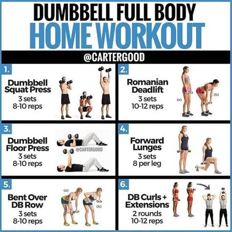 PosterMate FitMate Dumbbell Workout Exercise Poster Workout Routine X