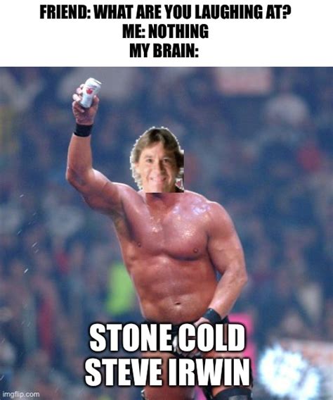 Stone Cold Steve Austin Imgflip