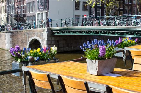 11 Best Cafés In Amsterdam World News Intel