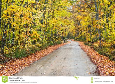 Autumn Country Road Stockbild Bild Von Protokoll Alger 46785355
