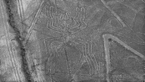 Nazca Lines The Unexplained Mysterious Drawings On Earth Curiouspost