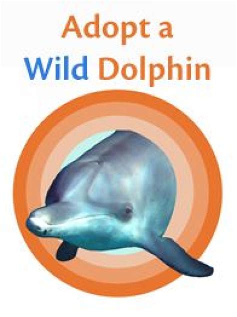 Electronic Adopt A Wild Dolphin Kits Are Here Dolphin Communication