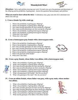 Create a punnet square to answer. Monohybrid Mice Worksheet Answers - worksheet