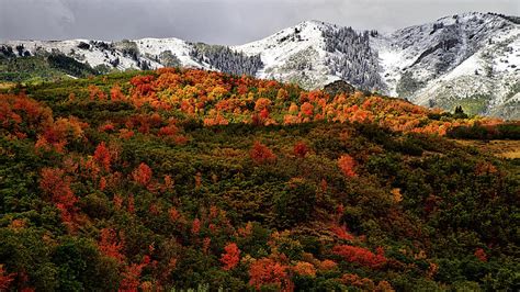 Autumn Snow Oquirrh Mountains Utah Photograph By Mark Abercrombie