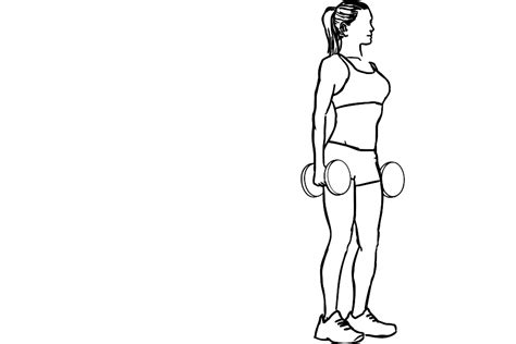 Dumbbell Squats Workoutlabs Exercise Guide