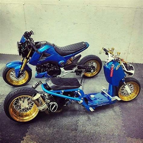 Here's a killer option for your ruckus or pre 2012 metropolitan! #Honda_Grom #Ruckus | Honda grom, Grom bike, Mini bike