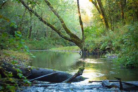 Kennedy Creek Western Rivers Conservancy