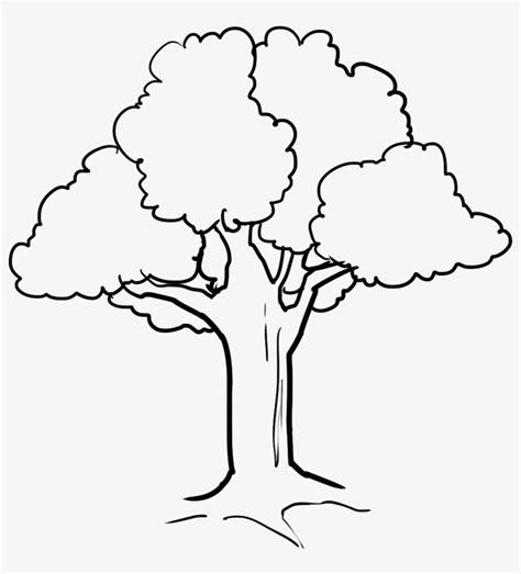 Free printable fall coloring pages. Fall Tree Drawing At Getdrawings - Cute Tree Coloring ...