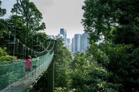 Explore Bukit Nanas Forest Reserve Kuala Lumpur What To Expect