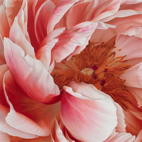 Artist Captures Ethereal Flowers In Hyperrealistic Colored Pencil Drawings