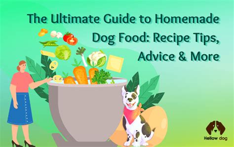 Ultimate Guide To Homemade Dog Food Hellow Dog