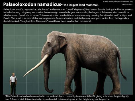 Palaoloxodon Namadicus Size By Harry The Fox Prehistoric Animals