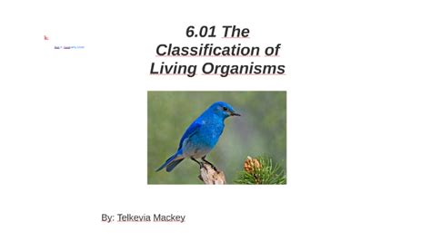 6 01 The Classification Of Living Organisms By Telkevia Mackey On Prezi