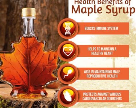 5 Amazing And Healthy Benefits Of Maple Syrup Newstrack English 1