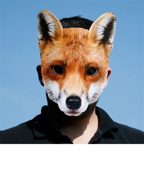 Fox Animal Mask Costumes R Us Fancy Dress