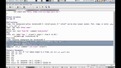 Programming In Tcltk Lesson 16 Gui Frametextscrollbarscale