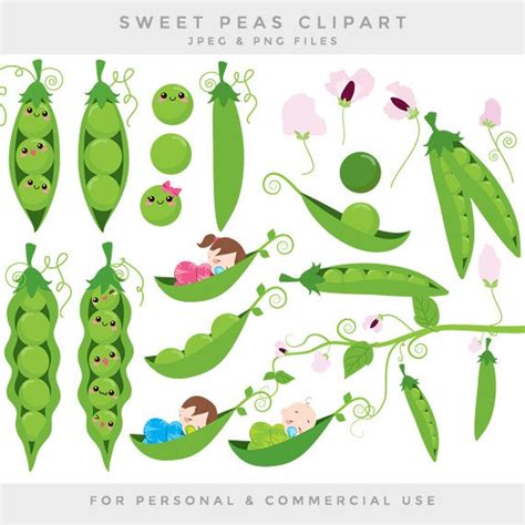 Peas In A Pod Clip Art Sweet Peas Clipart Baby Babies Green