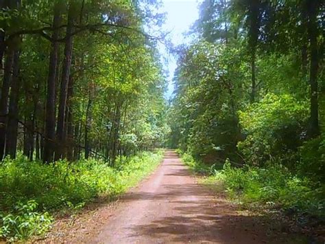 We did not find results for: Sam Houston National Forest (New Waverly) - 2021 All You ...