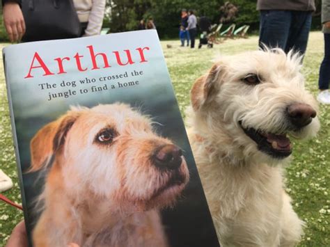 Reading About Arthur Miss Darcys Adventures