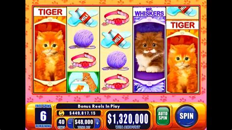 Omg Kittens Slot Play Live Bonus Wms Slot On Jackpot Party Facebook