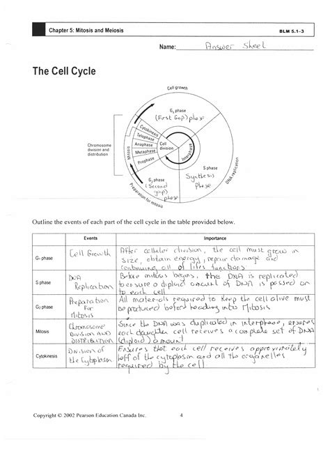 Worksheets are virtual cell work answer key, gel electrophoresis virtual lab work, virtual. 13 Best Images of Diagram Mitosis Worksheet Answers ...