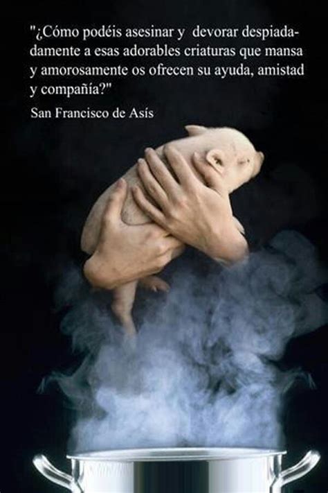 30 best images about San Francisco de Asis on Pinterest | Saint francis