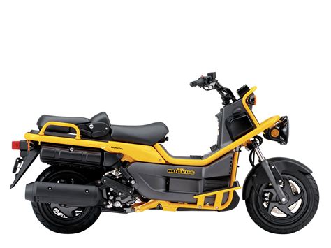 2005 Honda Big Ruckus Accident Lawyers Info Scooter Pictures