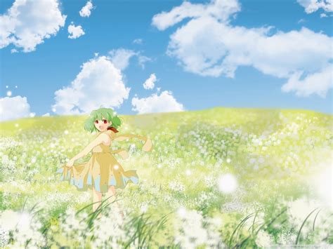 Anime Girl In Flower Field 4k Hd Desktop Wallpaper For 4k