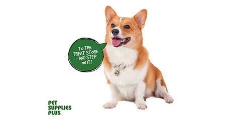 The pet supplies plus recall may or may not be related to another developing story. Pet Supplies Plus Franchise Information ...