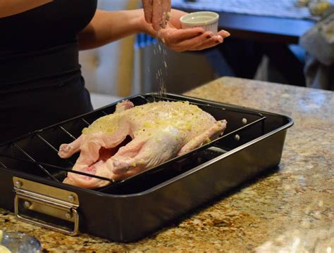 One popular choice is roast duck. Roasted Thanksgiving Duck | Recipe | Roasted duck recipes ...