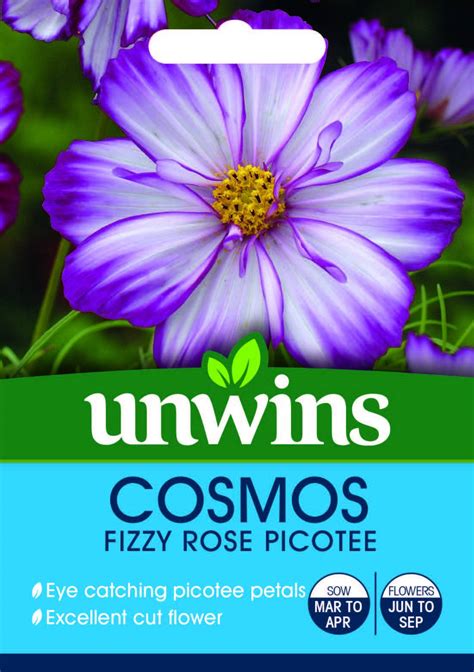 Cosmos Fizzy Rose Picotee Flower Seeds Unwins Jacksons Nurseries