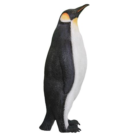 King Penguin Png Téléchargement Gratuit Png All