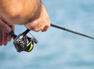 Best Saltwater Spinning Reels By Usman On Dribbble