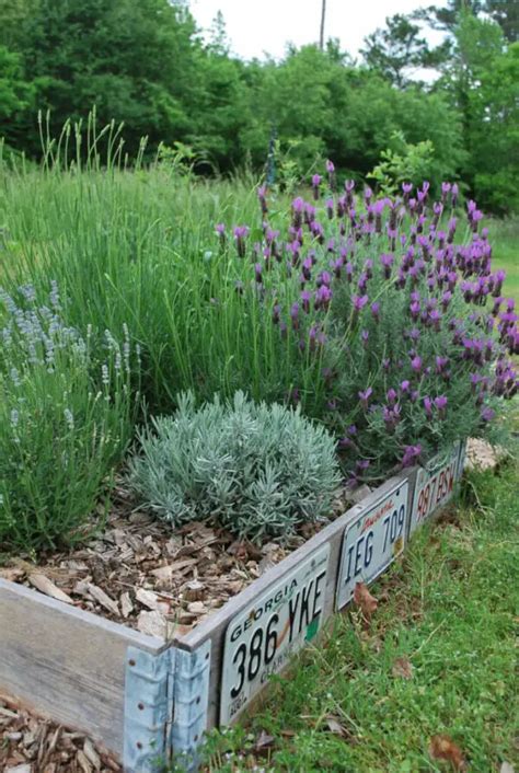 7 Small Lavender Garden Ideas BetterLandscaping